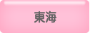 東海のデリヘル求人